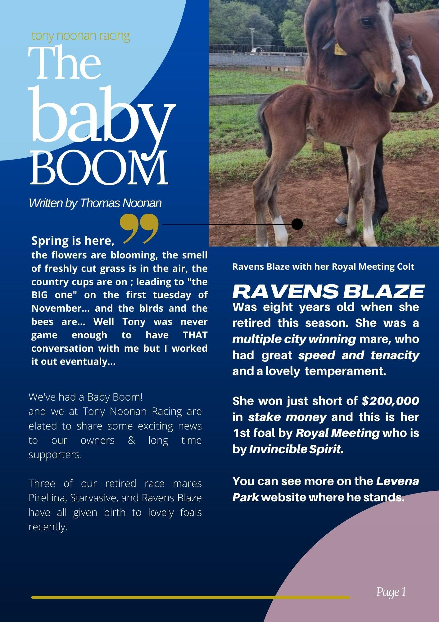 baby boom page 1